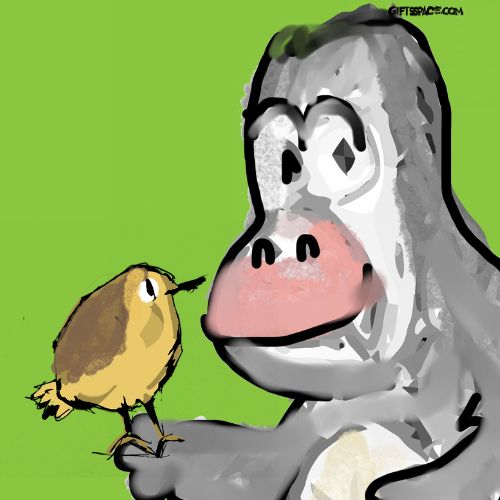 gorilla and the bird illustration for children