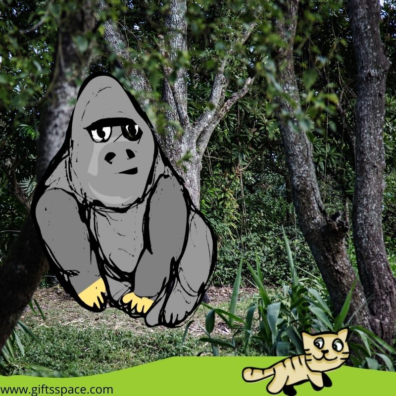 gorilla and the cat