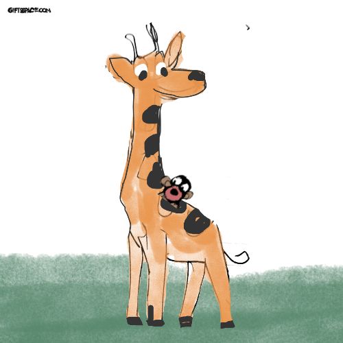 giraffe and the monkey