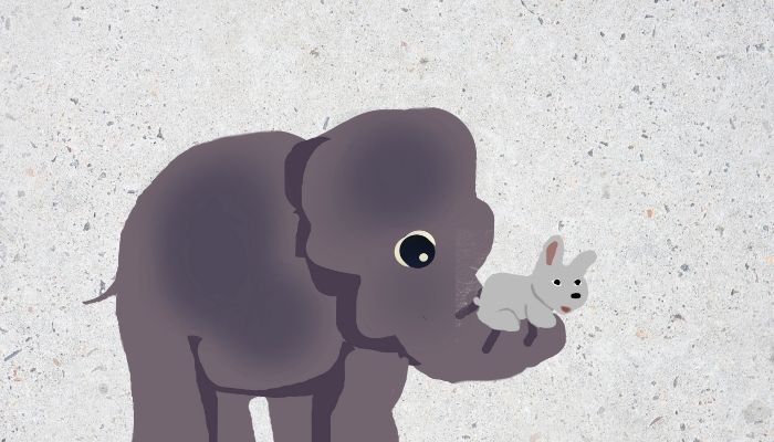 elephant and the bunny