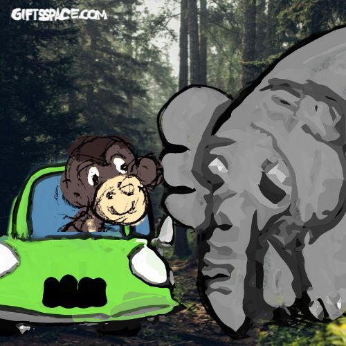 monkey on a car and the elephant