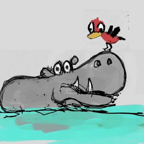 hippo and the red bird illustation