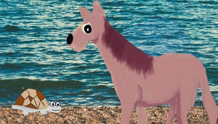 horse and the tortoise on the seashore