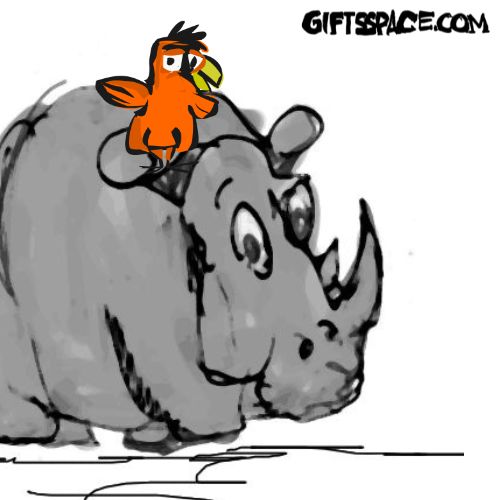 rhino and the bird