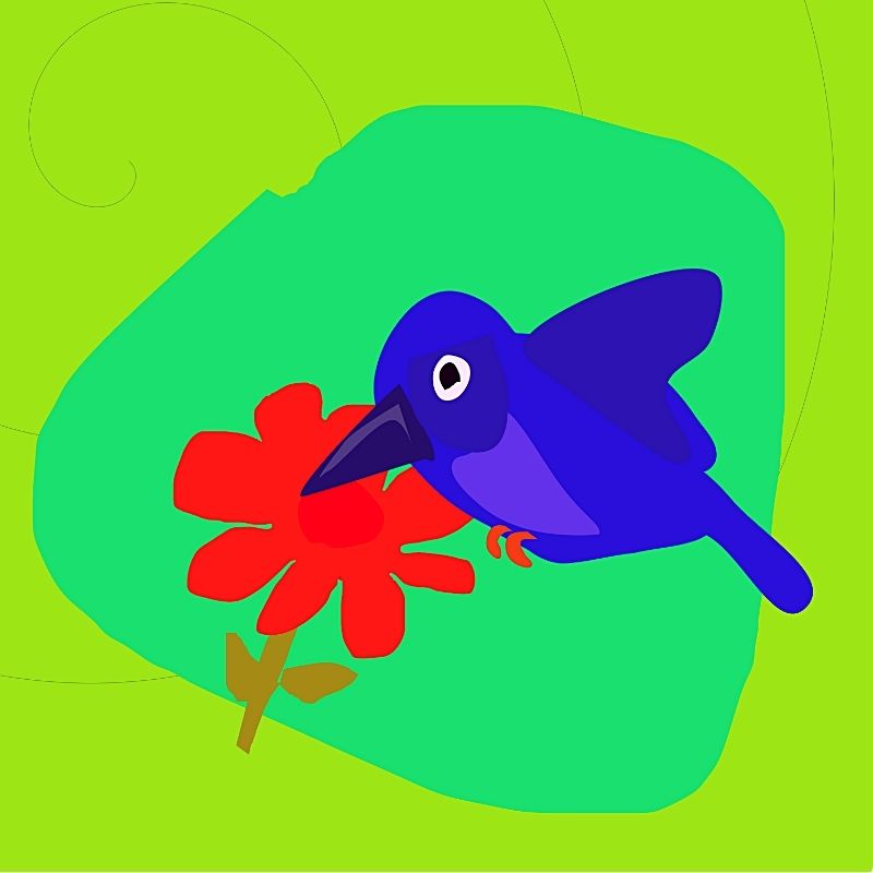 hummingbird and the flower