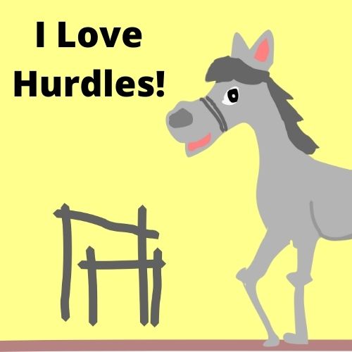 horse and the hurdles