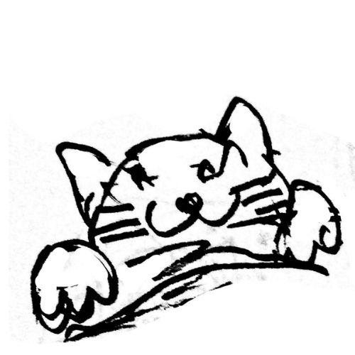 lazy cat nap