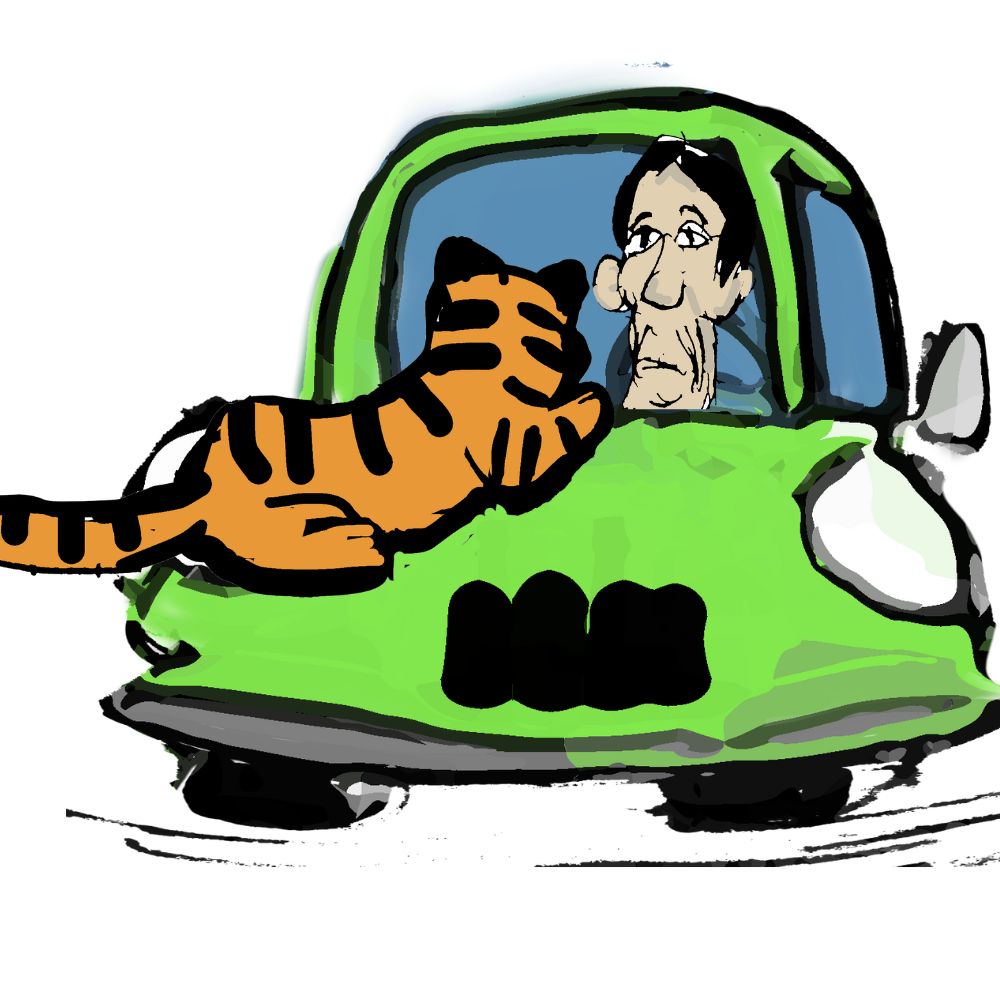 tiger and the car