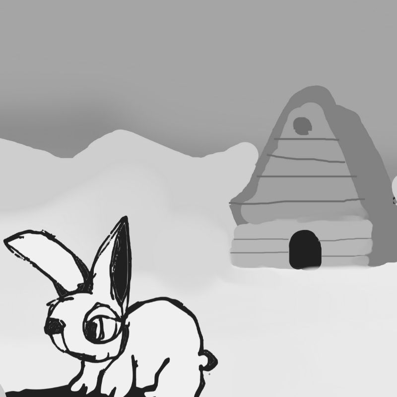 rabbit in the winter