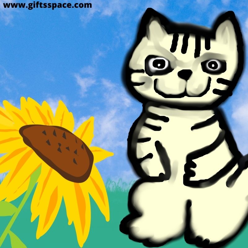 cat and the sunflower