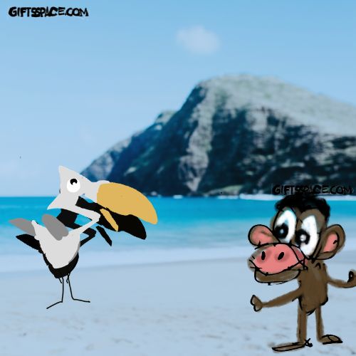 bird and the monkey cartoon