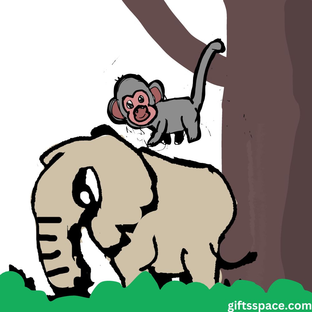 monkey and the elephant