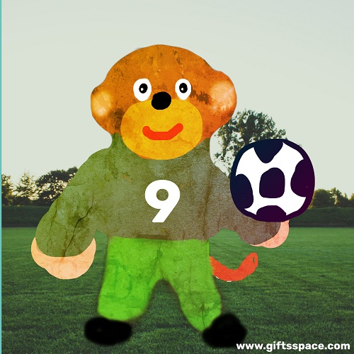 monkey footballer