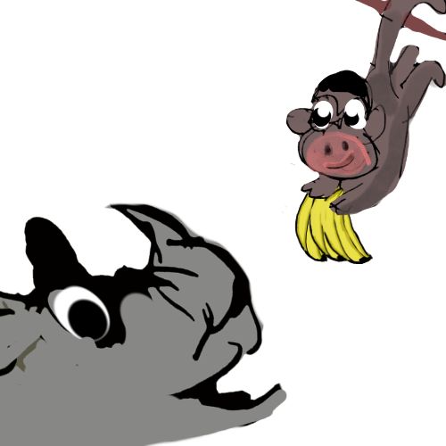 monkey with a banana and a rhino waiting for the banana.