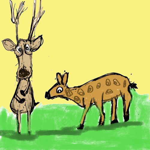 a buck and a doe standing in the meadow