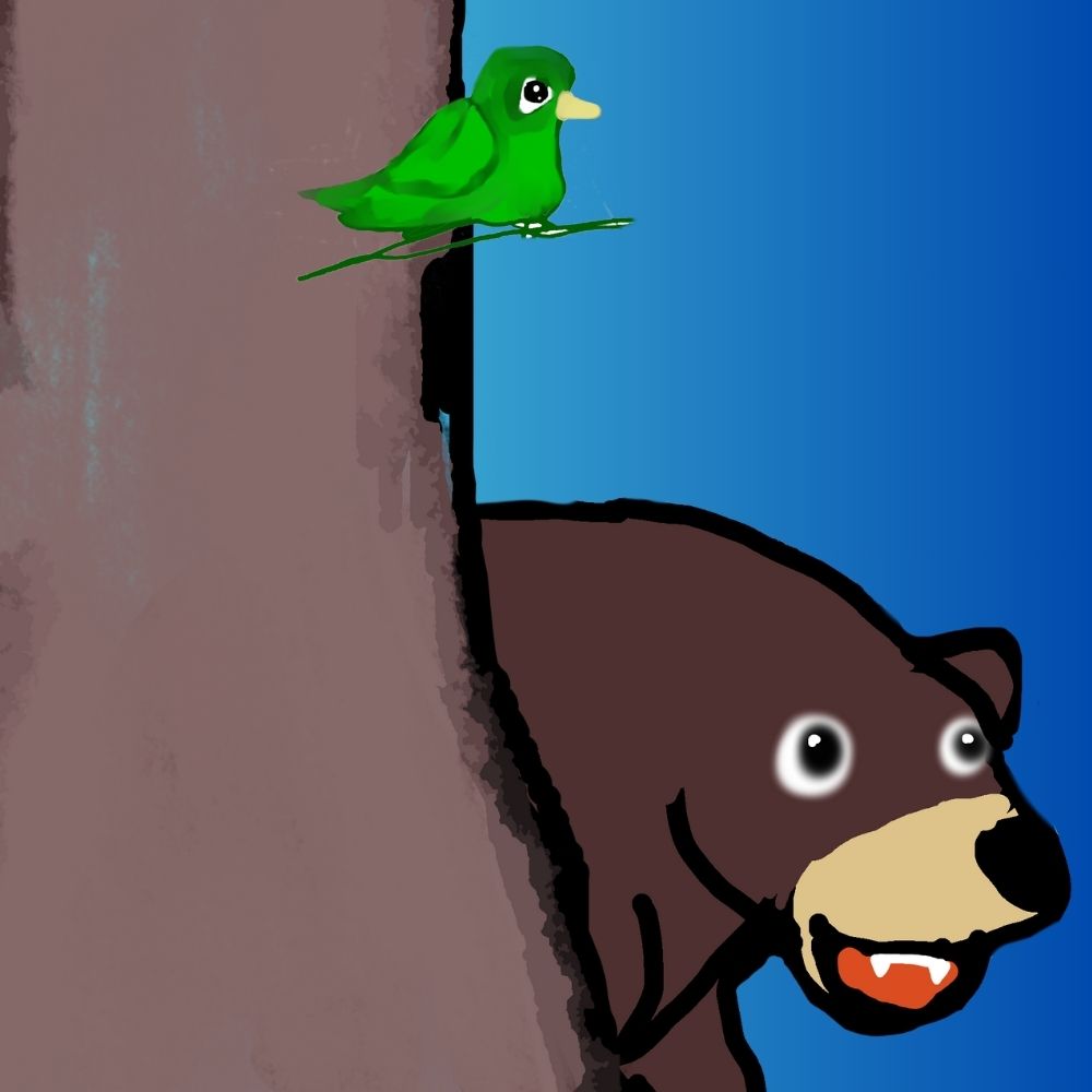 burglar bear and the bird