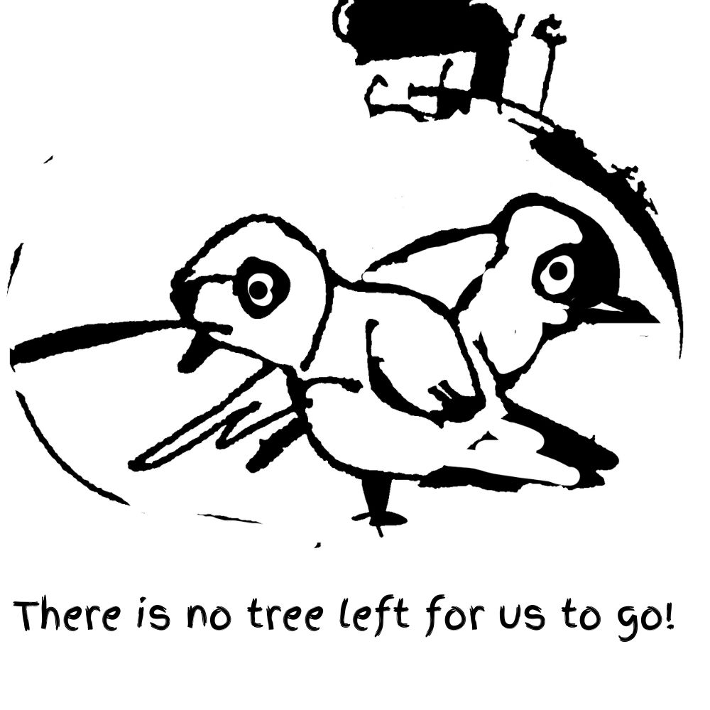 two birds