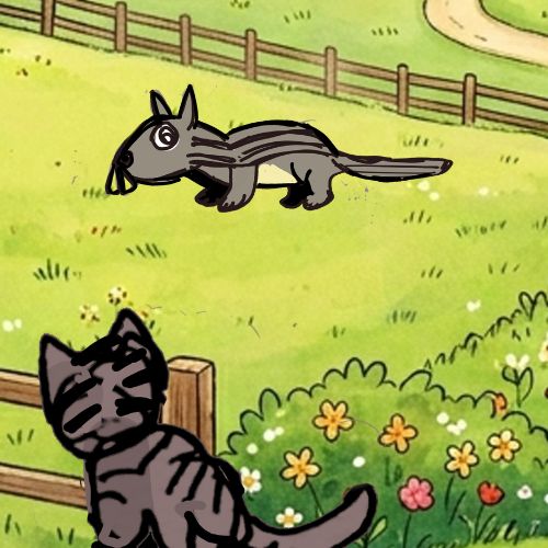 cat staring at a squirrel