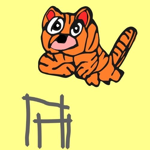 tiger jumping hurdles