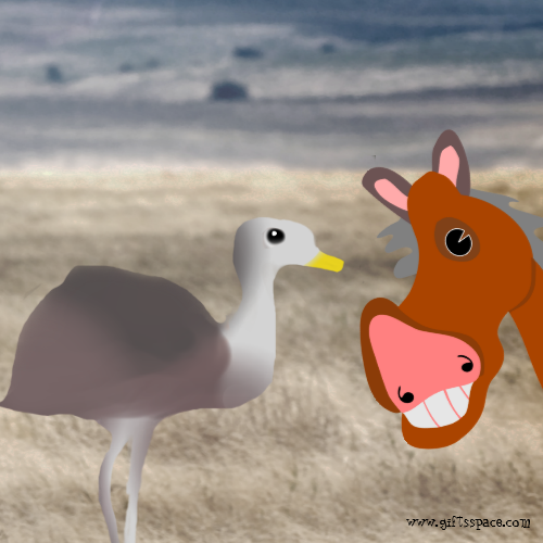 ostrich and horse cartoon