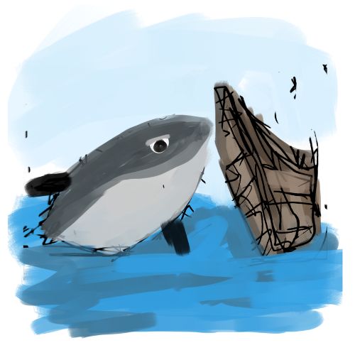 The big fish is playing with the boat.