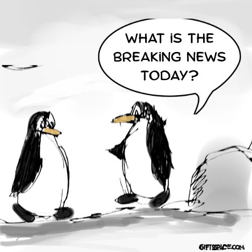 two penguins talking