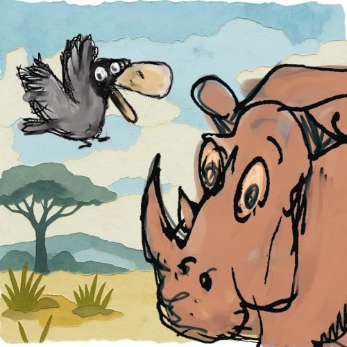 A mischievous black bird flying in the sky and shouting to scare a worried brown rhino in the savanna