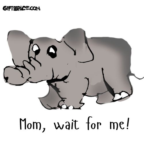 baby elephant running