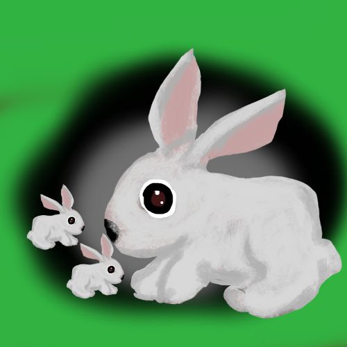 rabbits in the rabbit hole