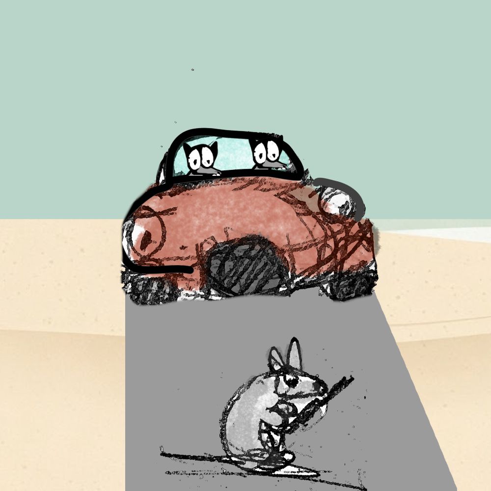 race car and the rat