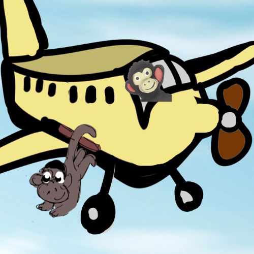 monkey hanging from the plane ready to jump.