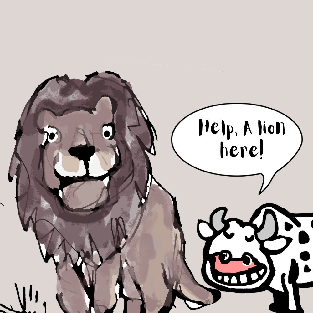 a cow is crying when she spotted a lion just before her.
