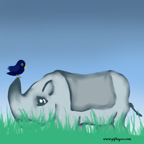 rhino and the bird
