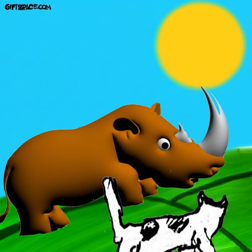 rhino and the cat