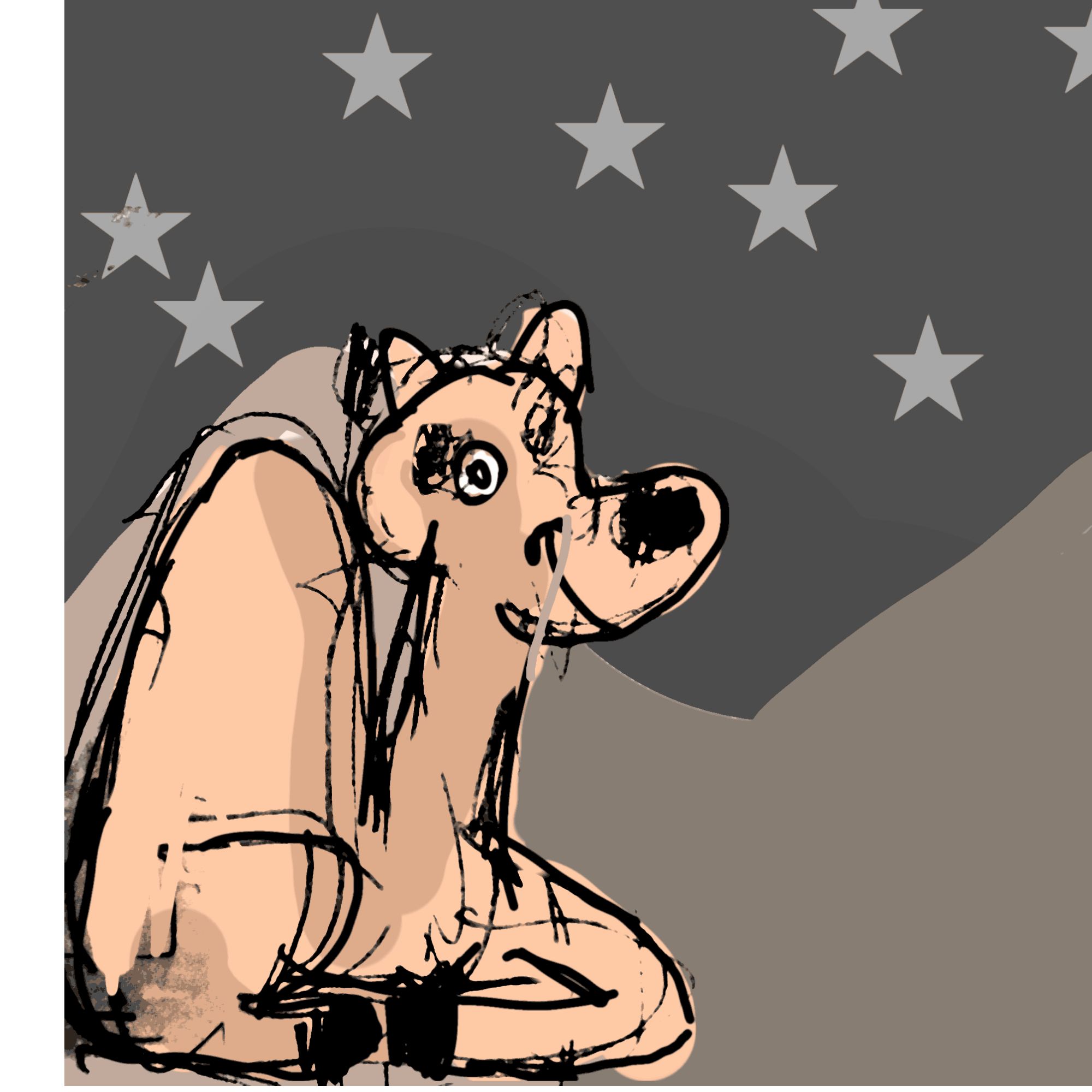 waiting camel