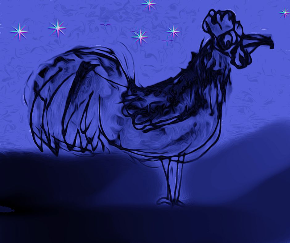 rooster at the dawn