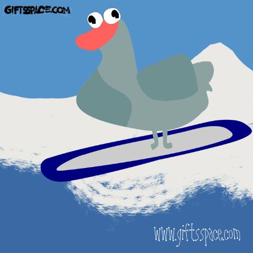 duck surfer funny