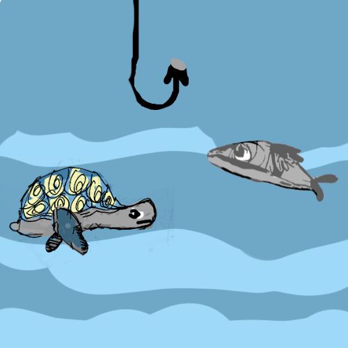 a turtle and a fish