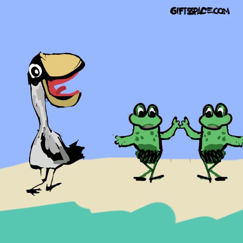 bird sings and the frogs dance