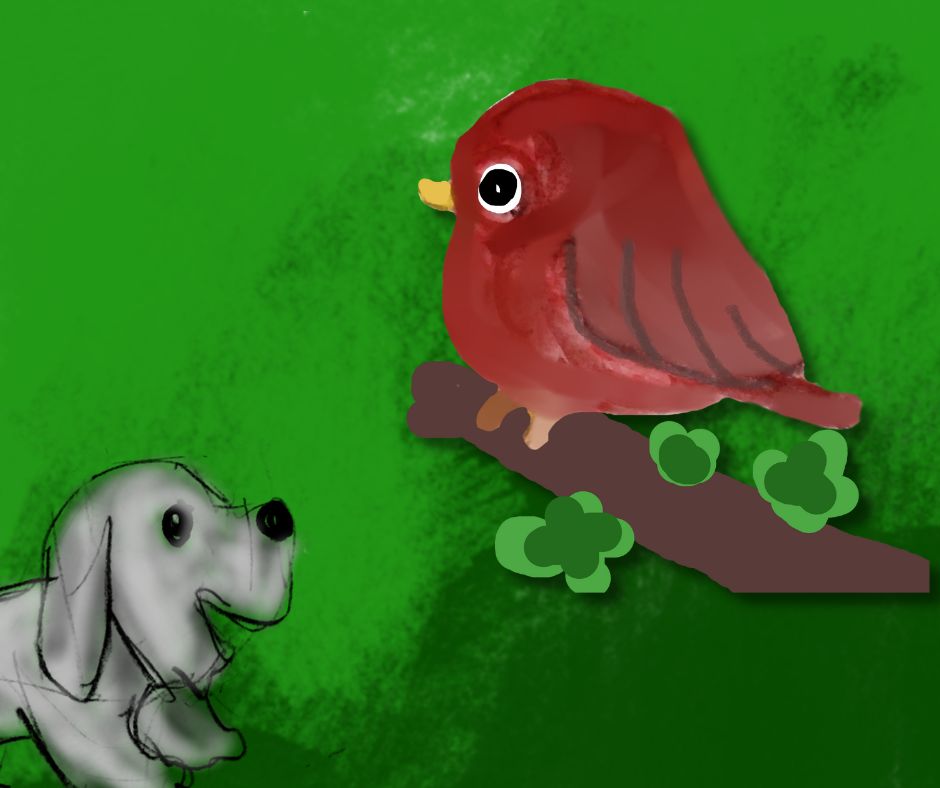 bird and the dog