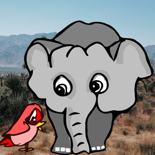 singer bird and the elephant
