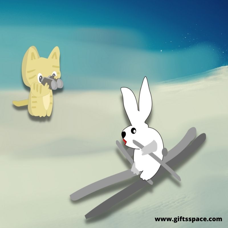 cat and the rabbit skier