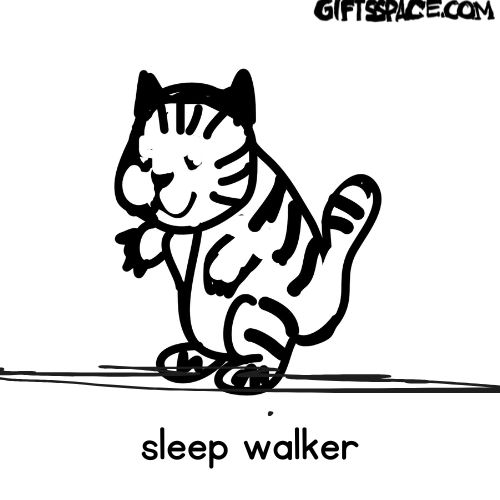 sleep walker cat