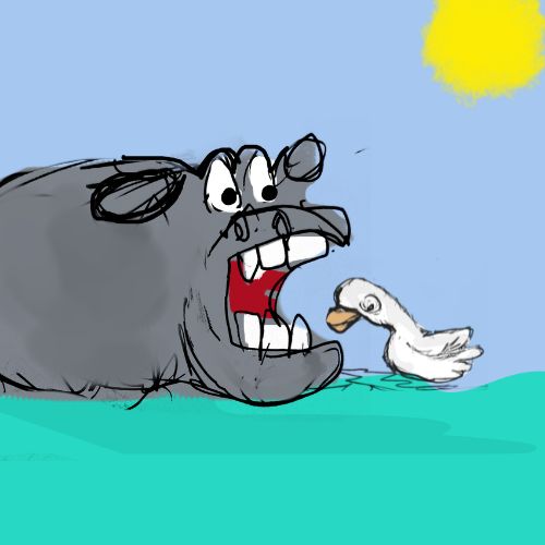 hoppo and the duck cartoon
