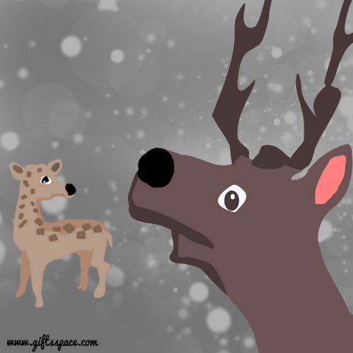 male and female deers