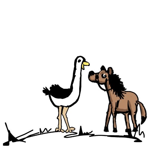 ostrich and the horse stand offf