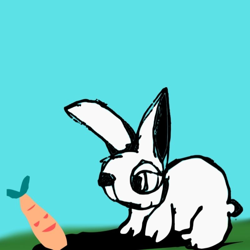 rabbit and the carrot story