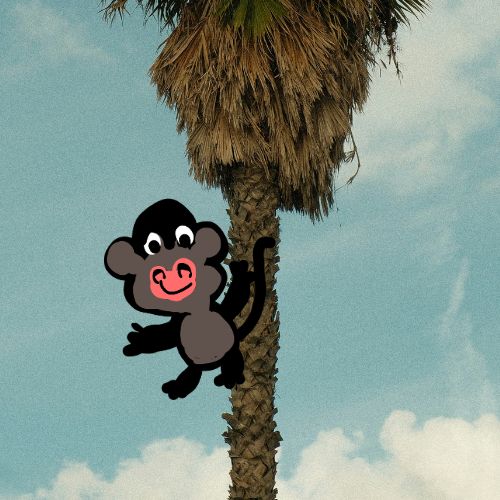 monkey on a pam tree cartoon