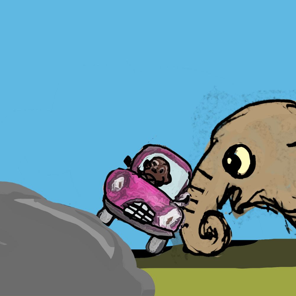elephant stopping the car from being toppled.