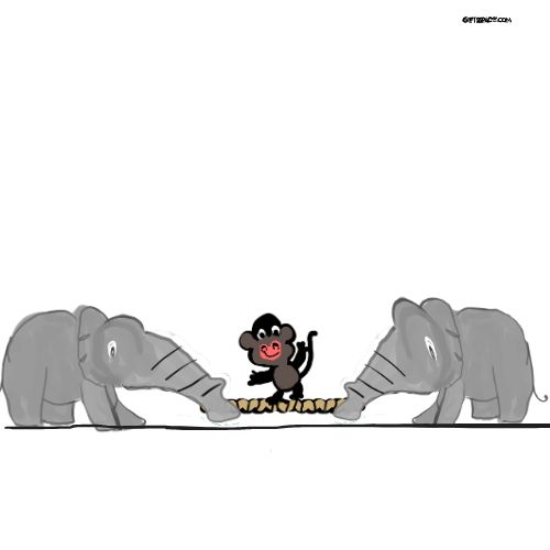 two elephants on the other end of the rope thugh of war